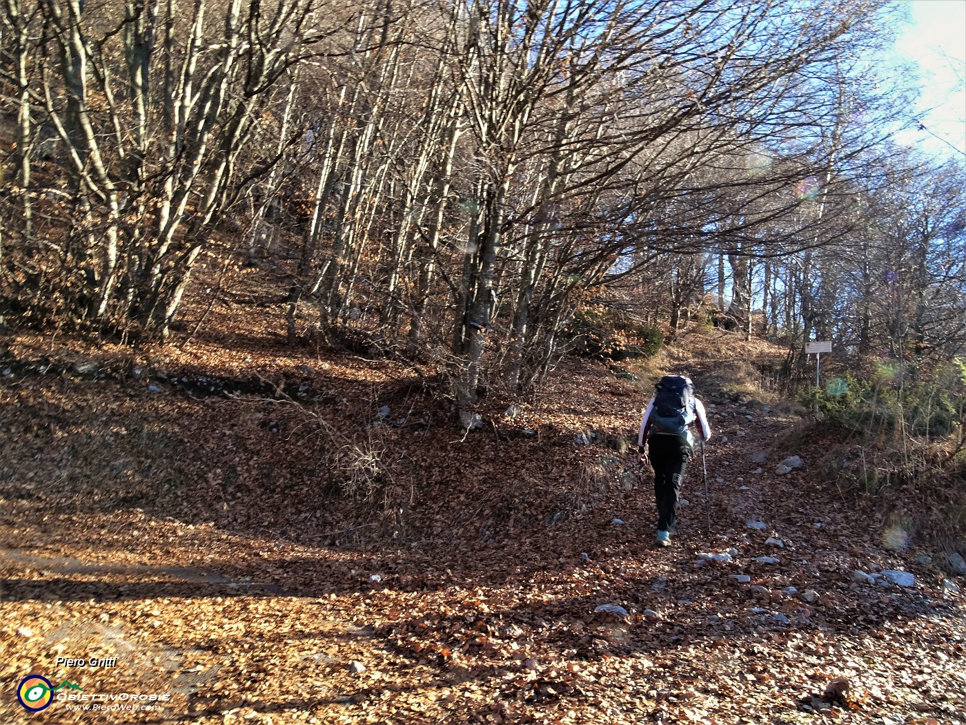 18 Da stradetta il sent. 579 diviene sentiero vero e proprio in decisa salita nel bosco.JPG